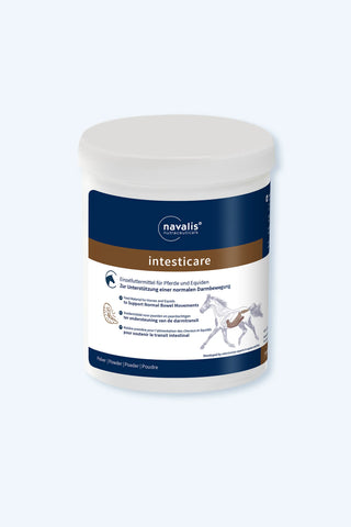 navalis intesticare horse