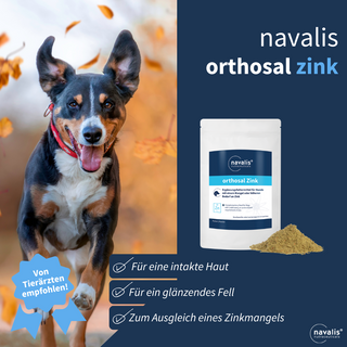navalis orthosal Zink dog