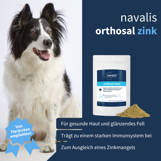navalis orthosal Zink dog