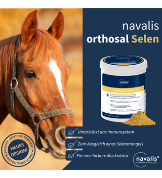 navalis orthosal Selen horse 500 g