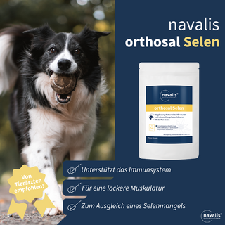 navalis orthosal Selen dog
