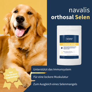 navalis orthosal Selen dog
