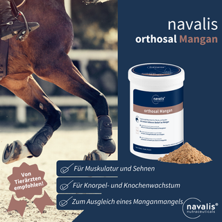 navalis orthosal Mangan horse