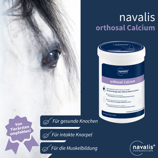 navalis orthosal Calcium Horse
