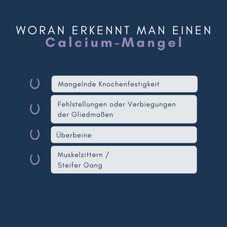 navalis orthosal Calcium Horse