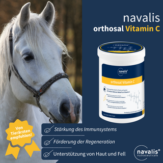 navalis orthosal Vitamin C horse