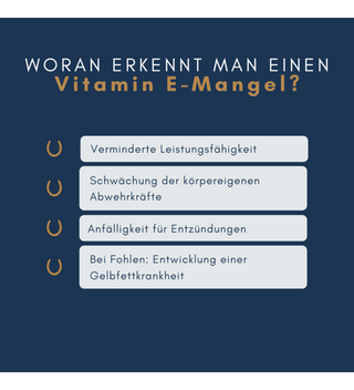 navalis orthosal Vitamin E horse 750 g