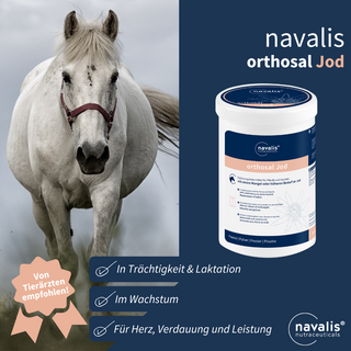 navalis orthosal Jod horse