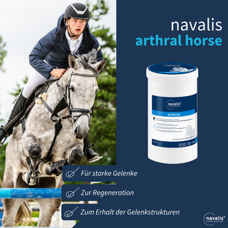 navalis arthral horse