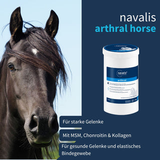 navalis arthral horse