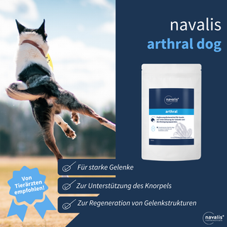 navalis arthral dog