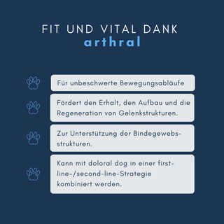 navalis arthral dog