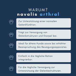 navalis arthral dog