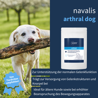 navalis arthral dog