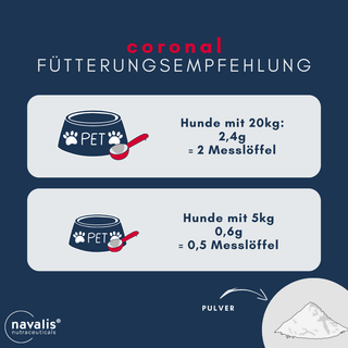 navalis coronal dog