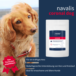 navalis coronal dog