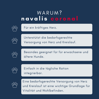 navalis coronal dog