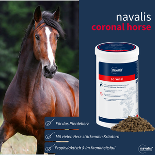 navalis coronal horse