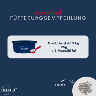 navalis coronal horse