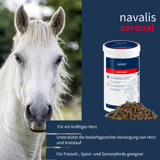navalis coronal horse
