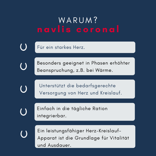 navalis coronal horse