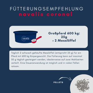 navalis coronal horse