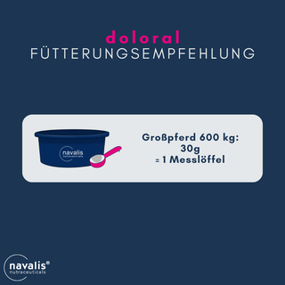 navalis doloral horse