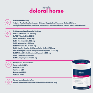 navalis doloral horse
