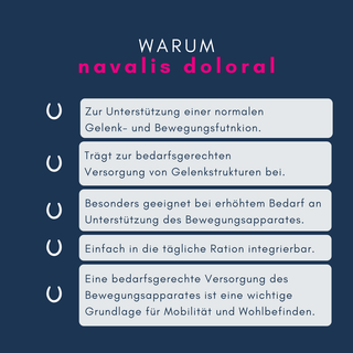 navalis doloral horse