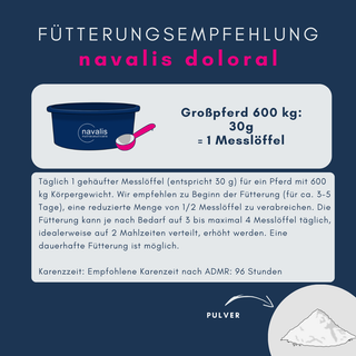 navalis doloral horse