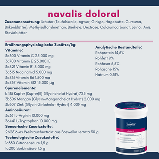 navalis doloral horse