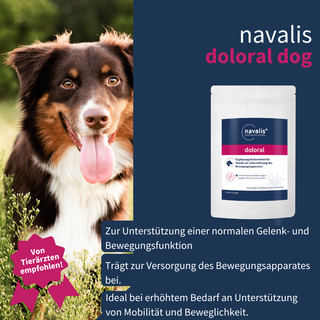 navalis doloral dog