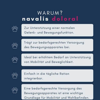 navalis doloral dog