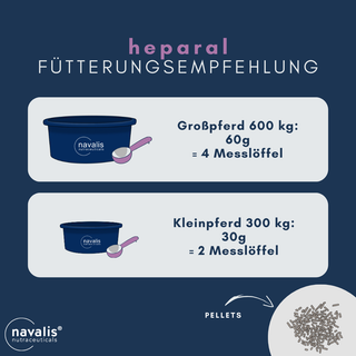 navalis heparal horse