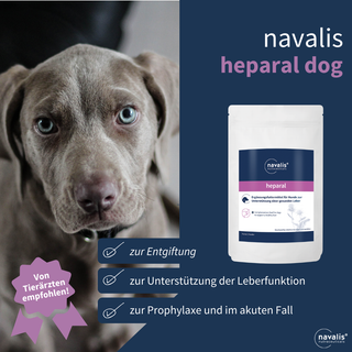 navalis heparal dog