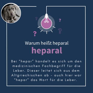navalis heparal dog
