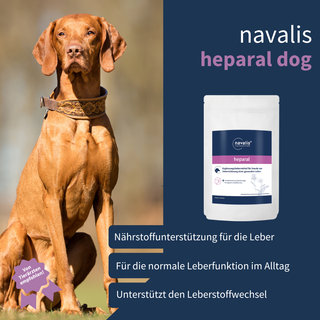 navalis heparal dog