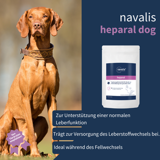 navalis heparal dog