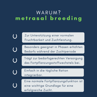 navalis metrasal breeding horse