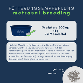 navalis metrasal breeding horse