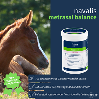 navalis metrasal balance horse
