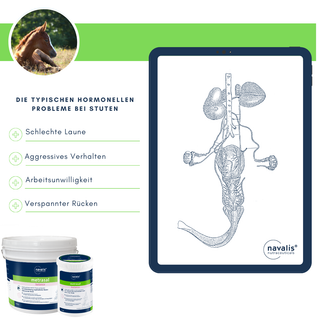 navalis metrasal balance horse
