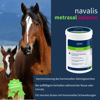 navalis metrasal balance horse
