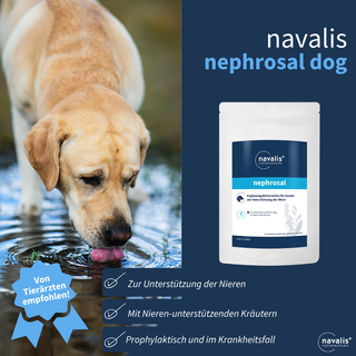 navalis nephrosal dog