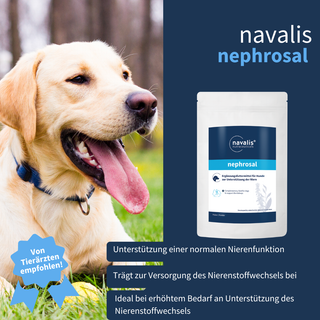 navalis nephrosal dog