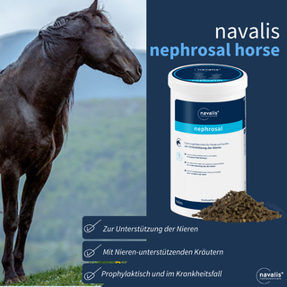 navalis nephrosal horse