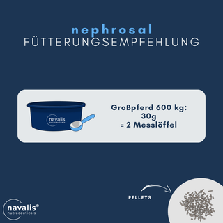 navalis nephrosal horse