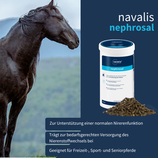 navalis nephrosal horse