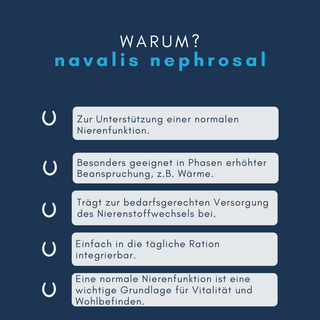 navalis nephrosal horse