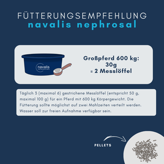 navalis nephrosal horse